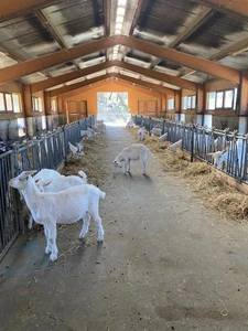 Azienda agricola di Marzio Poma