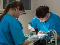 Tierarztpraxis Rösslimatte GmbH