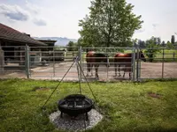 Bigler Zäune GmbH - Klicken Sie, um das Bild 5 in einer Lightbox vergrössert darzustellen