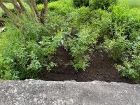 Blattert Garten- und Rasenpflege GmbH
