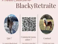 Ranch Blackyland - Manège et cours d'équitation - Genève - Bernex