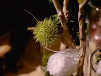 ART NATURAL stucki