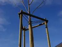 Spycher Baumpflege GmbH