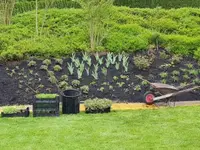 BRÜHWILER-GARTENBAU, BAUMPFLEGE