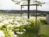 Popp Gartenbau AG
