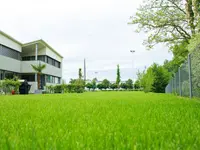 Ribi Gartenbau GmbH
