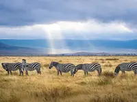 ASMA GLOBAL - Klicken Sie, um das Bild 9 in einer Lightbox vergrössert darzustellen