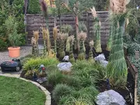 BRÜHWILER-GARTENBAU, BAUMPFLEGE