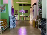 Grow & Garden