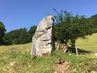 Restaurant zur Alp - Klicken Sie, um das Bild 4 in einer Lightbox vergrössert darzustellen