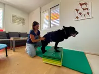 Hundephysio Oberland