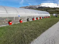 Altiplant SA - Klicken Sie, um das Bild 3 in einer Lightbox vergrössert darzustellen