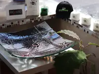 Gravity United