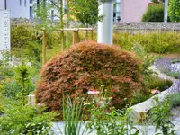 Schneebeli Blumen & Garten