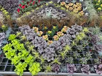 Herrmann Garten & Blumen AG