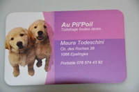 Au Pil'Poil-Logo