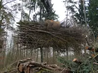 Näf Markus