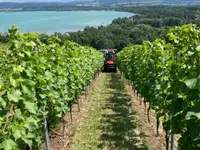 Le Domaine de Villarose