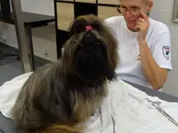 Agota's Hundesalon