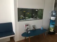 ASA Freis Aquarium Service - Klicken Sie, um das Bild 3 in einer Lightbox vergrössert darzustellen