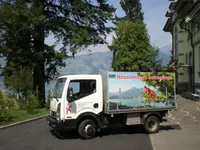 Henzelmann's Baumpflege AG