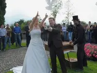 Hochzeitstauben Burlet