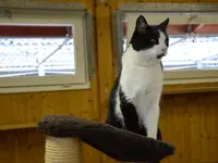 Tierferienheim Gredig