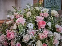 Blumen Weber
