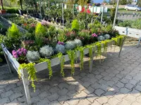 Herrmann Garten & Blumen AG