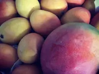 Küng + Steiner AG