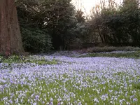 Hunziker Garten AG - Klicken Sie, um das Bild 3 in einer Lightbox vergrössert darzustellen