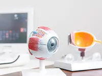 Argus Augen AG