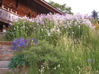 Ellès Jardins Sàrl