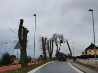 Entreprise forestière Daniel Ruch SA