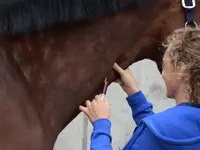 Equine Sports Medicine Services GmbH - Klicken Sie, um das Bild 3 in einer Lightbox vergrössert darzustellen