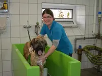 Tierferienheim Gredig - Klicken Sie, um das Bild 17 in einer Lightbox vergrössert darzustellen