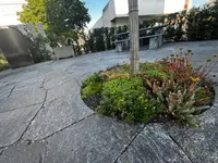 Schneider Gartengestaltung AG