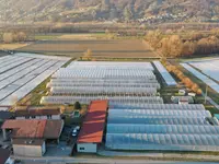 Azienda Agricola CATIBIO di Caritas Ticino - cliccare per ingrandire l’immagine 1 in una lightbox