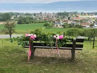 Les Fleuridées