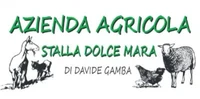 Logo dolcemara sagl