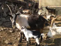 Azienda Agricola Rodoni Paolo