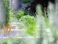 GGZ Gartenbau