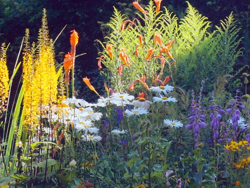 Villiger Arnosti Gartenbau AG - Klicken, um das Panorama Bild vergrössert darzustellen