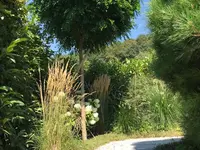 Müller Gartengestaltung GmbH