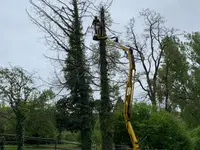Les Artisans du Jardin Sàrl