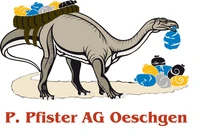 Peter Pfister AG-Logo