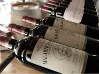 Bodega Noi