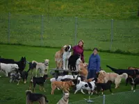Tierferienheim Gredig