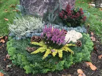 Rothenbühler Gartenbau AG