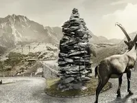 EWD Elektrizitätswerk Davos AG